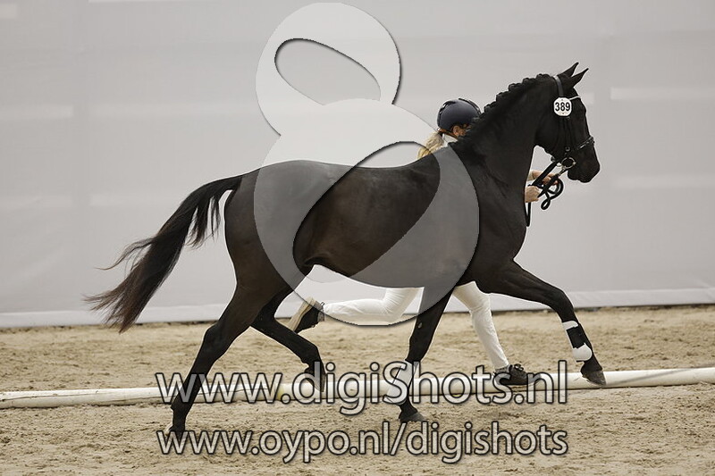 Prabu Putra JCS v. Governor - 389