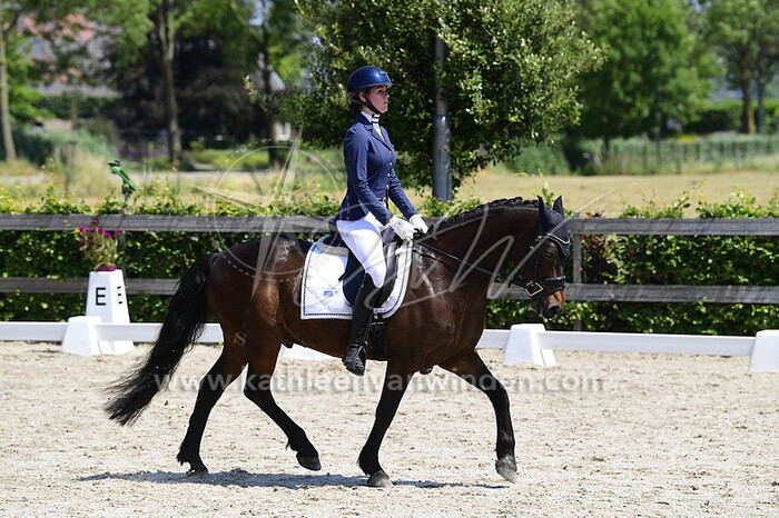 Isabel Ridder - Cong's Casanova