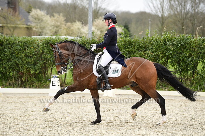 Emily Bradshaw - Havanna II