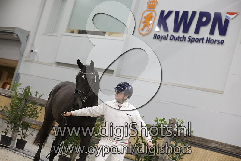 Rumba Vd Radstake v. Mumbai Van De Moerhoeve - 124