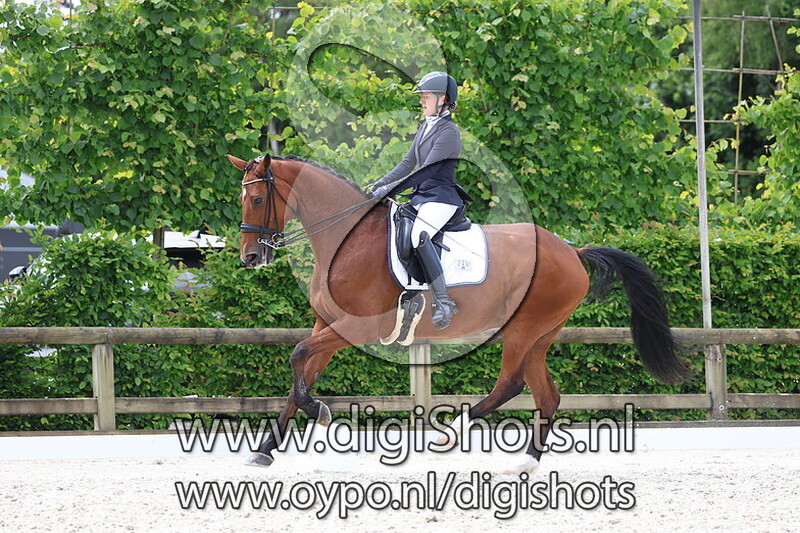 Saragon van de Pronkenberg