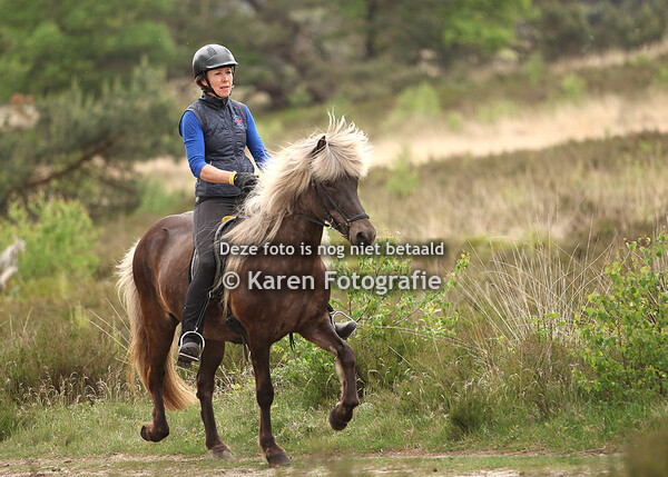 Eper Paardenvierdaagse 2022 Dinsdag