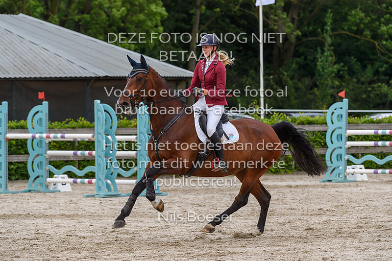 7 Klasse 120cm Paarden