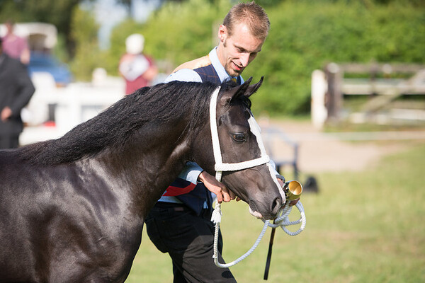 Internationale Show Hamaland