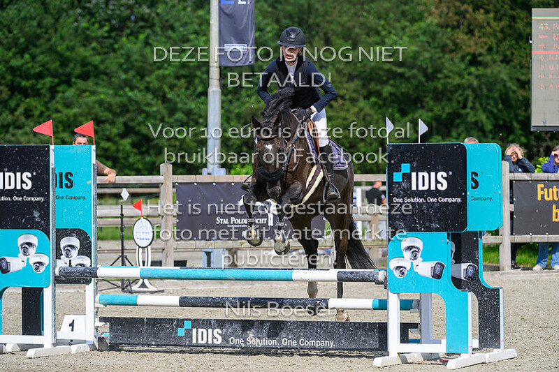 5 Paarden oefenspringen