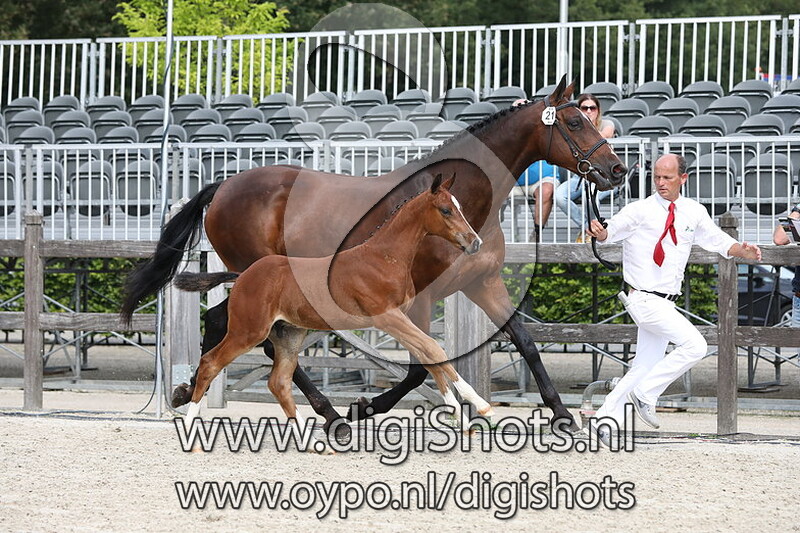 021 Repeat v. Hardrock Z