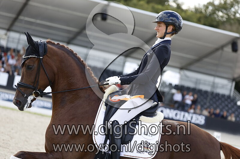 Fuechtels High Light OLD