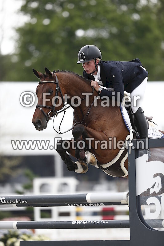 Dennis van den Brink