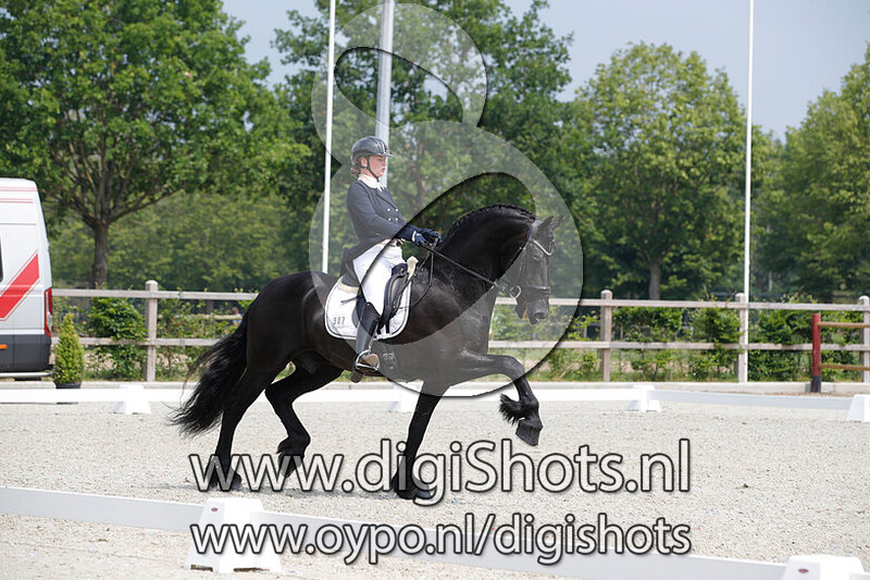 Aftonmora Friesians Tymon 456