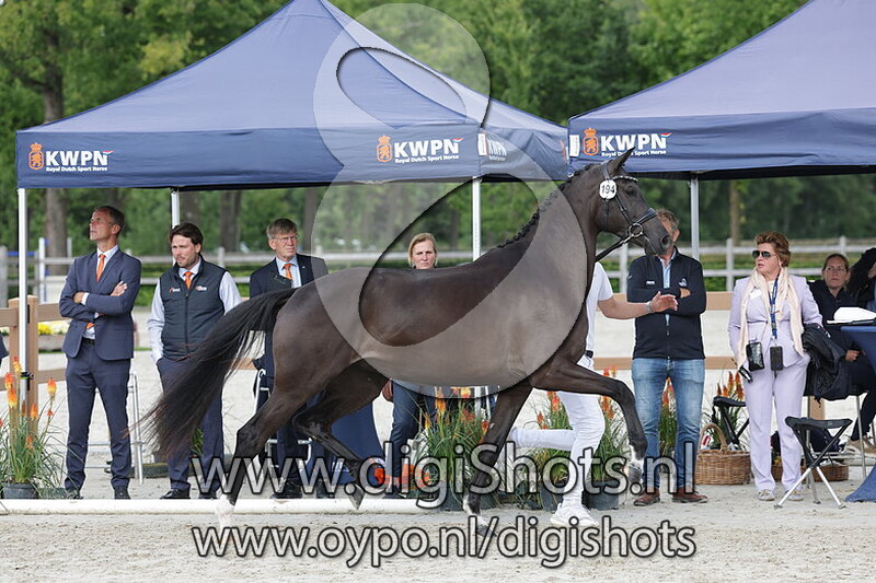 Siyenza v. Next Level