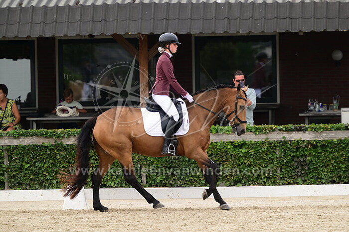 Tika Brandenburg - Springhill George