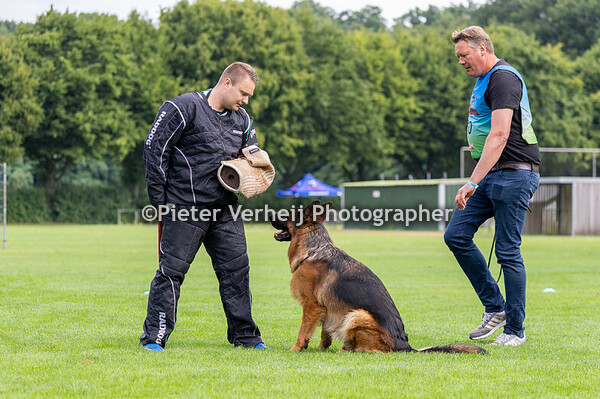 10 Vigo vom Osterberger-Land PW