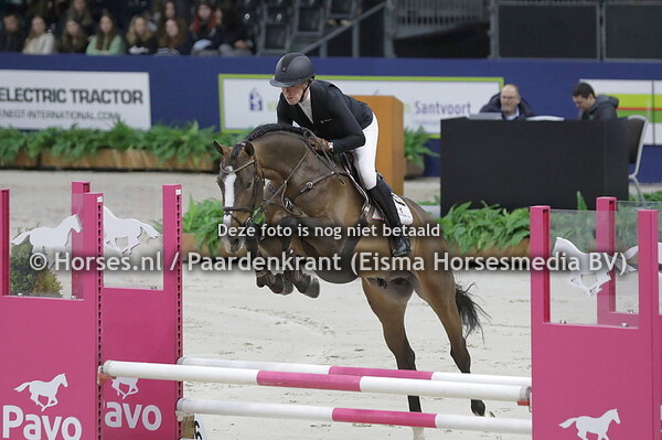 903 Pinacolada van Seldsum (Dominator x Namelus) Joy Lammers