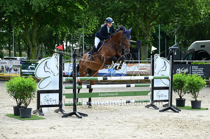 Carolien Herbers - Goodlord-Gold