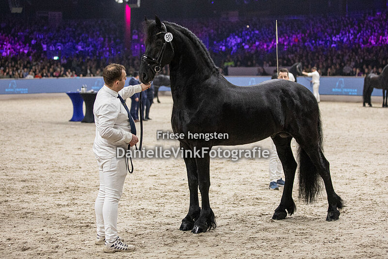 Hengstenkeuring 2024 Wibout 511