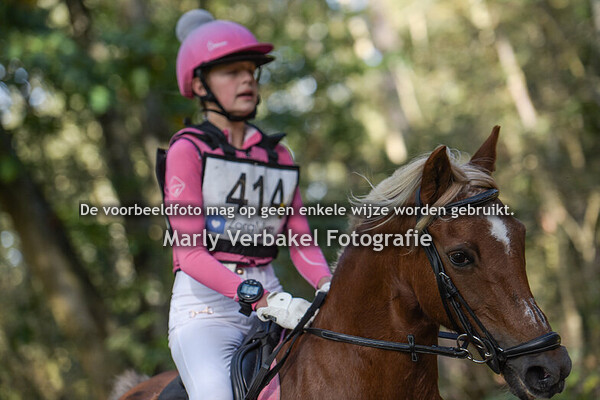 B pony's kort cat. ABC