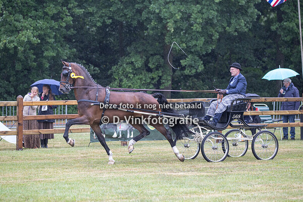 05. Eenspannen Tuigpaarden hoge limiet