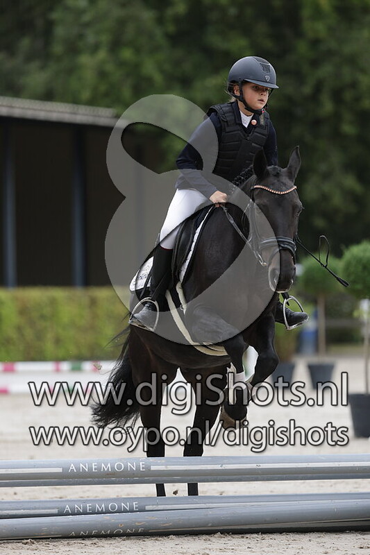 Springen 0.40cm pony