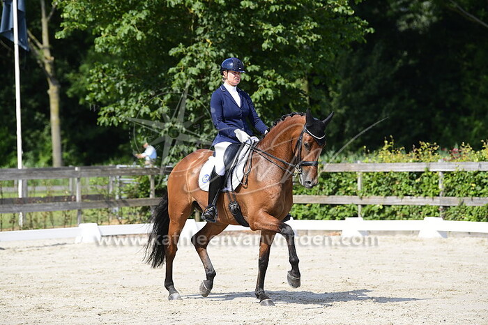 Lotje Schoots - Mufasa