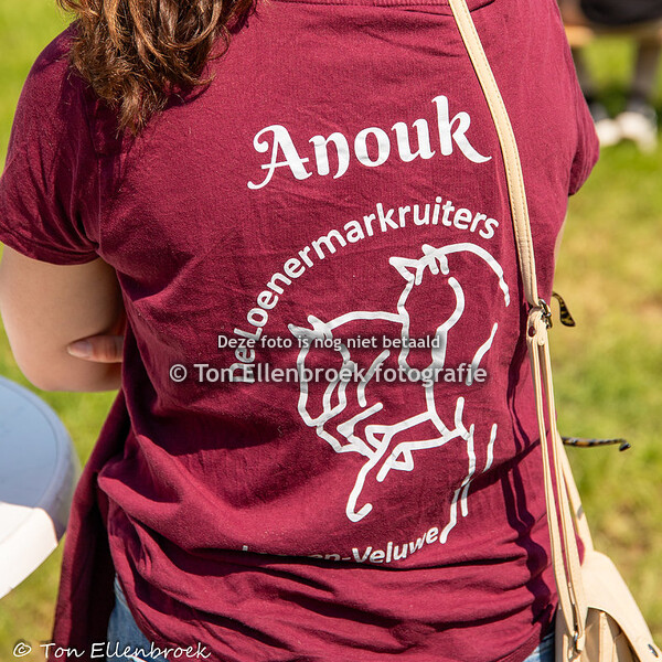 Concours Hippique Empe