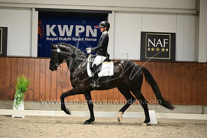 Elisabeth Geluk - San Diego E