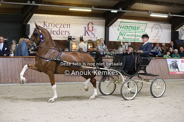 Show beloften TP 2024