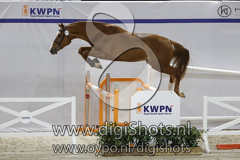 U2 SR v. United Touch S