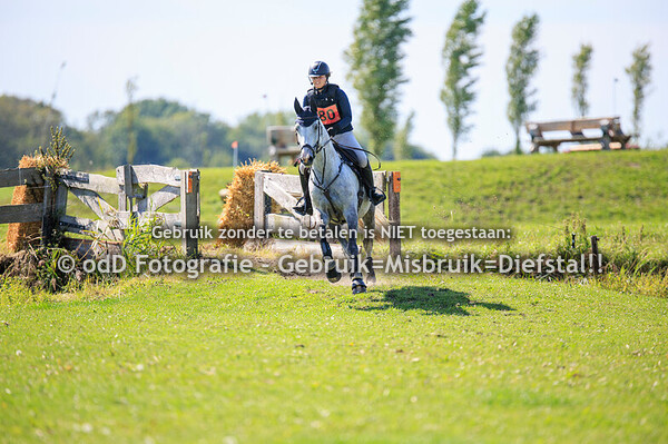 sgw geestmerambacht paarden m 06-09-25