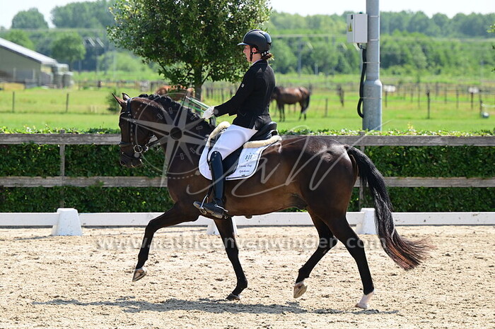 Nicole Pos - Original