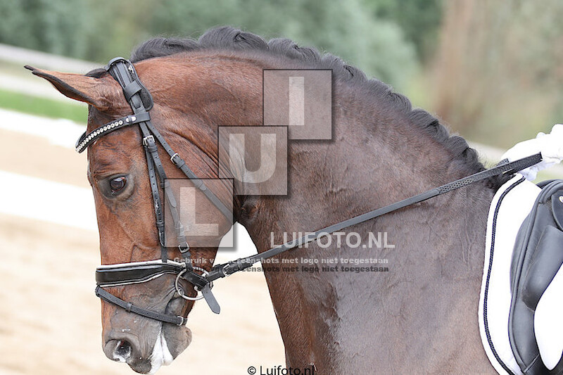 27-5 RV SPA Dressuur