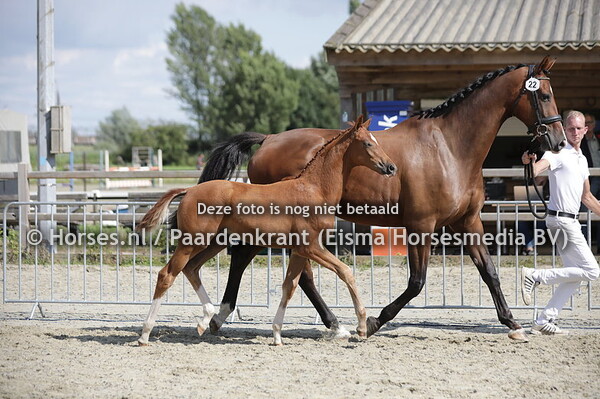 22 Sifeera Altena (Nirvano x Lafeera Altena v. Expression) (