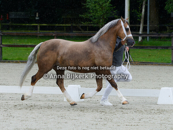 Sectie C keuring, 02-08-2025