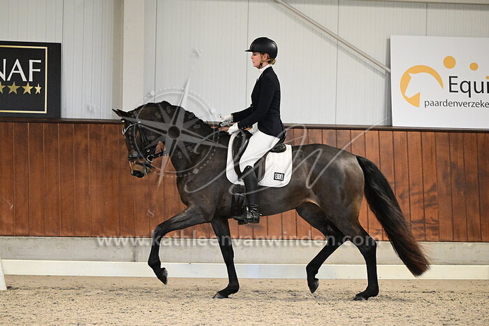 Isabelle Harbers - Summer