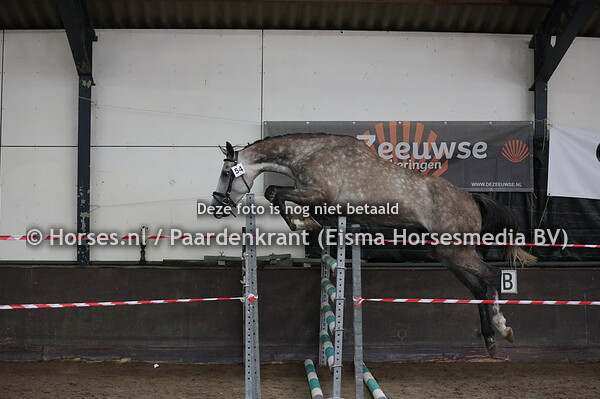 54 Kanouche (California x Cianti v. Damiro)