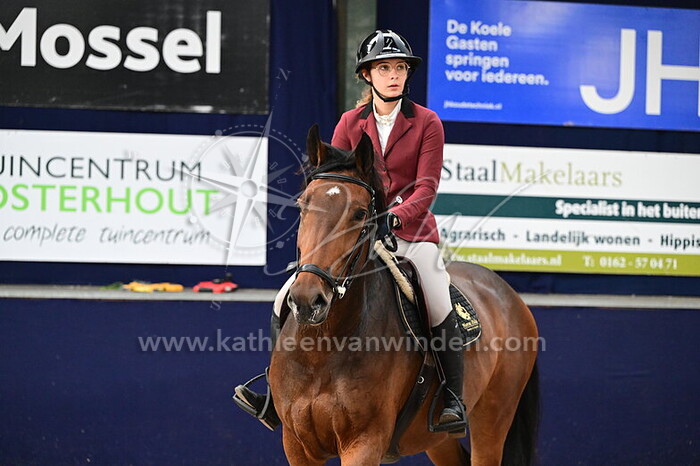 Cynthia Wouda - Wildrose van Chapelbridge