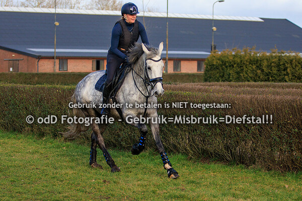 Trainingen Margo van Nijnatten Groep 6 14:00 04-02-23