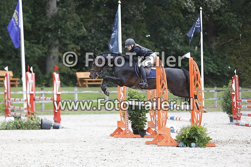 marlique hondenbrink