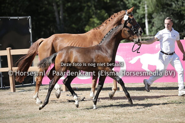 45 Summertime (Nacho x Sonique)