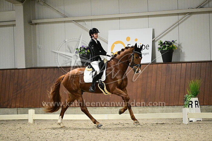 Britt van Hoof - Sandur