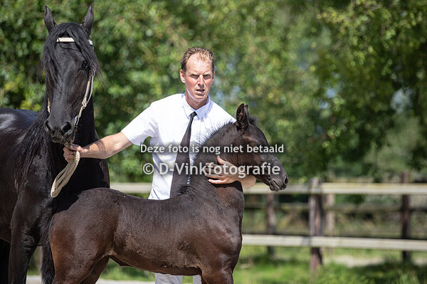 27. Annichje van d'n Meulenpad