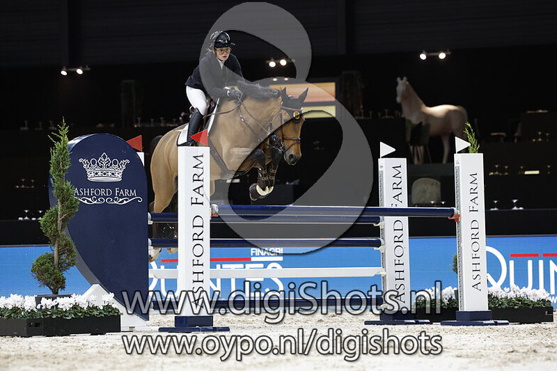 Delphine du Maillet Z