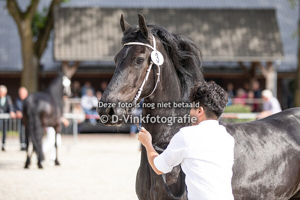 03. Liefheit fan Over den Graaf