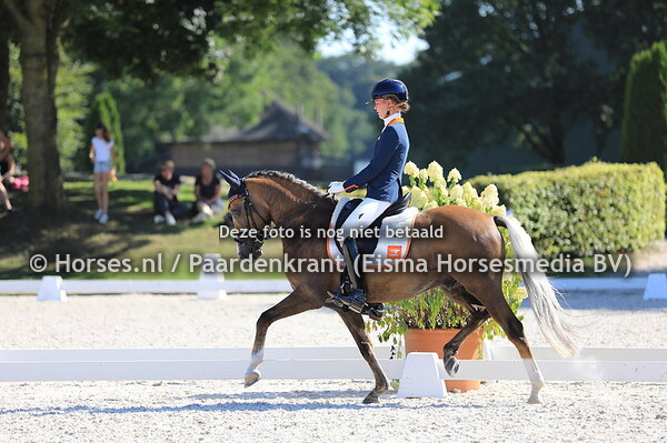 449 Colourfulle Cannonball