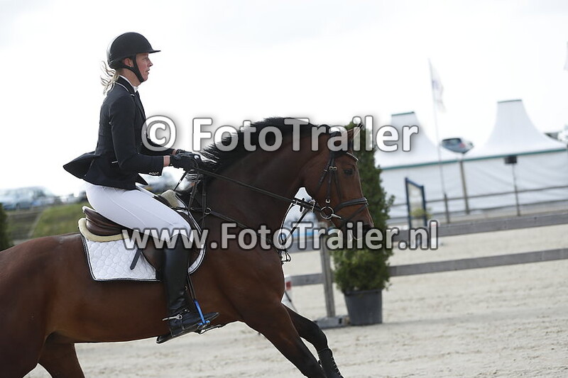 marjolijn groener stamsnijder