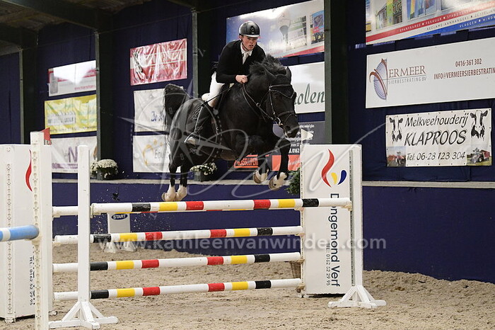 Paul Dunleavy - Dutch Abbervail Z