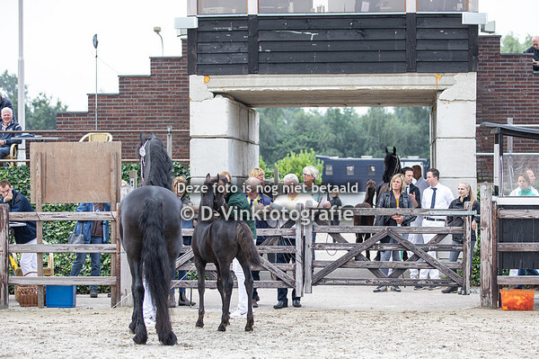 11. Rijk fan Rijck's Pleats