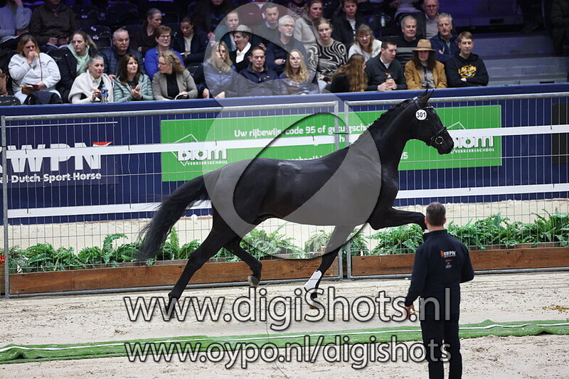 Salvation ES v. Bloomberg