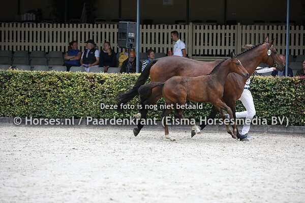 57 Odin van de Koolhof (Jacqet-Go x Anouk v. Colander)