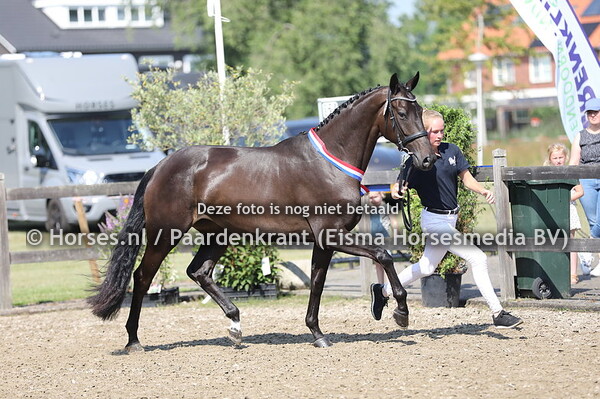 13-07-2022 CK Overijssel KWPN