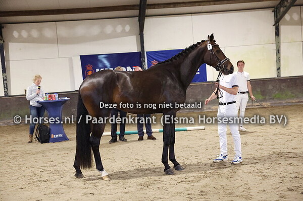 7 Rapinoe  (Dream Boy x Funkenmarie v. For Romance (1)